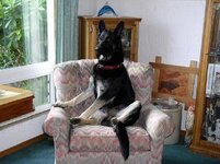 Griz in His Chair2 SW.JPG