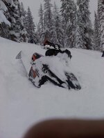 21 Dec 2010 my sled in powder.jpg