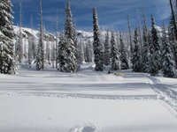 12-22-10 McCall 003.jpg