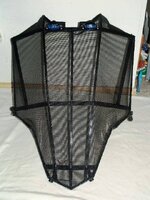 sw mesh hood 1.jpg