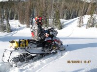 Snowies 2011 057.jpg