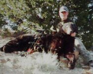 My 07 archery bear, UTAH.jpg