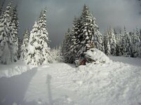 vlcsnap-2012-01-02-12h34m05s255.jpg