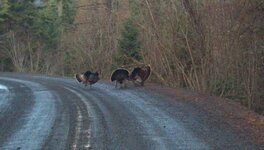 2011-12-29_08-27-25_54[1].jpg