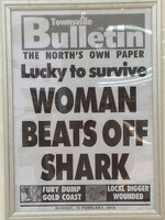 women-beats-off-shark-newspaper.jpg