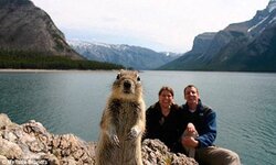 squirrel-holiday-photo-snap.jpg