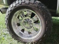 wheels12.jpg