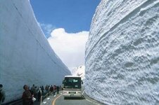 Japan_snow_2.jpg