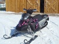 pink sled.1.jpg