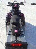 pink sled.3.1.jpg