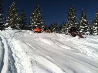 Snowies Feb 2012 056.jpg