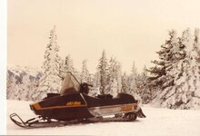 Old Sled Pics 2.jpg