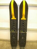 Skiis 001.jpg