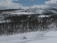 Monte 03-02-2012 012.jpg