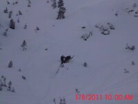 Sled 2011 077.jpg