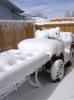 april 24 2010 spring snow 002.jpg