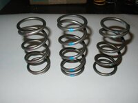 Titanium clutch springs pic 2.jpg