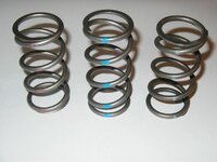 Titanium clutch springs pic 1.jpg