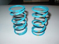 SLP clutch springs pic 1.jpg