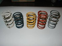 Steel clutch springs pic 1.jpg