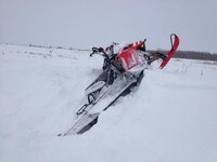 sled4 002.jpg