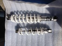 Rear 13 Pro Shocks.jpg