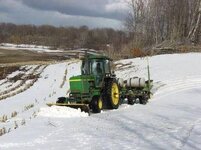 snow planting.jpg