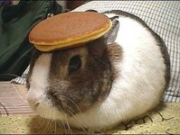 pancake-bunny.jpg