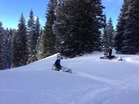 blue sky snow and sleds in timber.jpeg