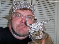 Tin-Foil-Cat-Hat-1.jpg