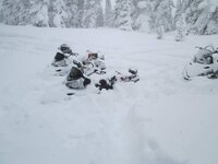 sled trip (13).jpg