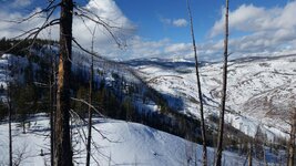 wst fk from shoofly ridge good 2015.jpg