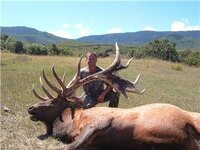 540elk1.jpg