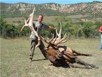 540elk2.jpg