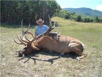 540elk3.jpg