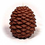 pinecone3sft.jpg