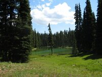 Shoestring Lake1.jpg