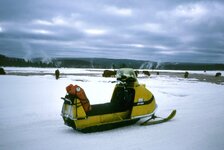 SN-0534Sled&BuffaloYellowstone78.jpg