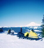 Pine Grass from Divide Ridge.jpg