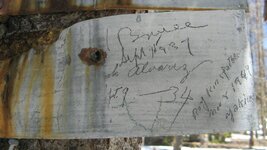 111-More Signatures3.jpg