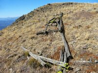 2451-Old Fence Remains.jpg