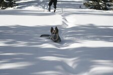 Rico Jan Snowshoe 069-2.jpg