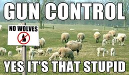 gun-control-yes-its-that-stupid.jpg