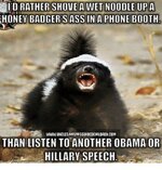 honey-badger-sass-in-a-phone-booth-www-unclesamsmisguidedchildren-com-than-listen-21476837.jpg