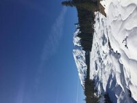 Mt St Helens Lahar viewpoint 83 road lava flow 3-11-2018.jpg