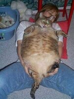 b-Thats-a-huge-fat-ugly-cat.jpg