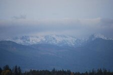 Mt. Arrowsmith.jpg