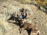 2008buck 016 (11).jpg