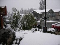 Canmore snow.jpg