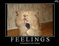 feelings-nothing-more-than-feelings-fakeposters-com-funny-cat-memes-tumblr-53183295.jpg